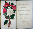Another image of PRACTICAL CAMELLIA CULTURE: by HALLIDAY, Robert J.