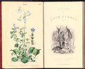 Another image of PRACTICAL HINTS ON THE CULTURE AND GENERAL MANAGEMENT OF ALPINE OR ROCK PLANTS. by LOTHIAN, James.