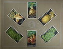 Another image of AN ALBUM OF SEED PACKET LABEL ILLUSTRATIONS. by SIMON LOUIS FRÈRES & Cie./ Grainiers.